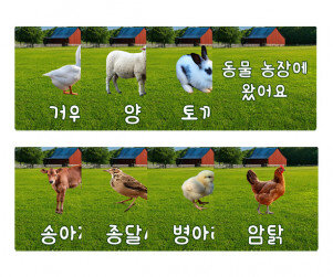 동물농장에 왔어요 카드