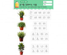 공기를 정화하는 식물