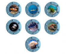 바닷속 잠수함 창문