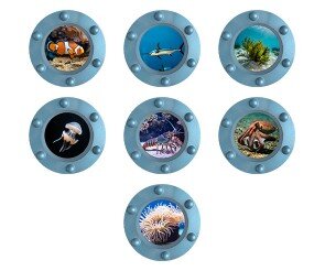 바닷속 잠수함 창문