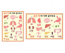 나의 몸속 기관