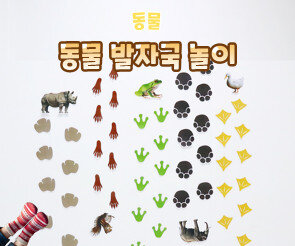 동물 발자국 놀이