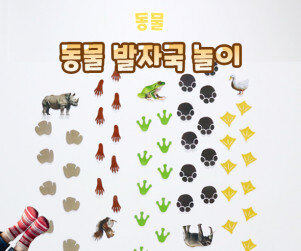 동물 발자국 놀이