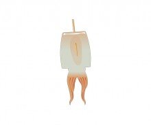 말리는 중인 오징어