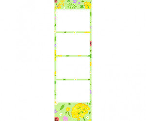 유채꽃 개나리 네컷