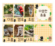 다양한 동물 카드