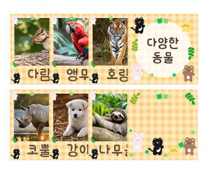 다양한 동물 카드