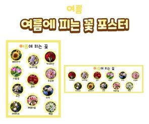 여름에 피는 꽃 포스터