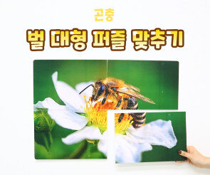 벌 대형 퍼즐 맞추기