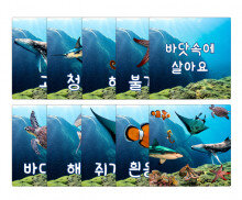 바닷속에 살아요 카드