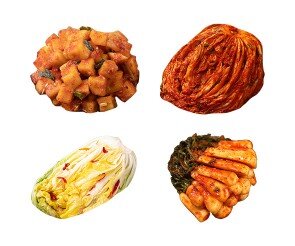 김치(배추김치,백김치,총각김치,깍두기)