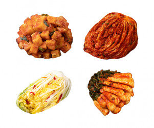 김치(배추김치,백김치,총각김치,깍두기)