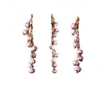 매달린 곡물(마늘)