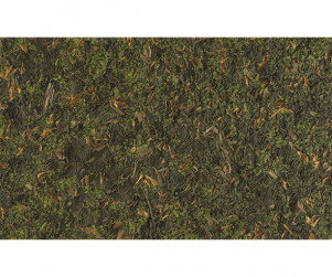 숲속 바닥 배경