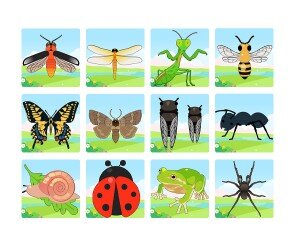 [개별도안] 곤충 대형 퍼즐 맞추기