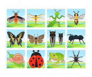 [개별도안] 곤충 대형 퍼즐 맞추기