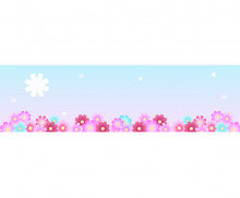 코스모스 축제 가로 배너(문구없음)