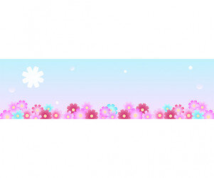 코스모스 축제 가로 배너(문구없음)