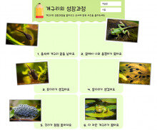 개구리의 성장과정