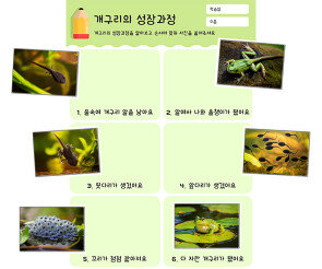 개구리의 성장과정