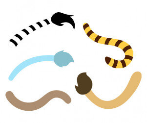 동물 꼬리 모음