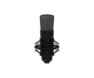 전문 마이크