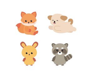 동물(강아지,너구리,여우,토끼)