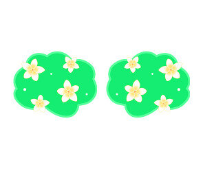 플루메리아 수풀