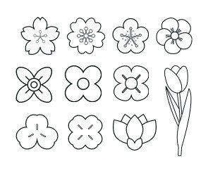 꽃 색칠 모음