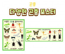 다양한 곤충 포스터