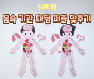 몸속 기관 대형 퍼즐 맞추기