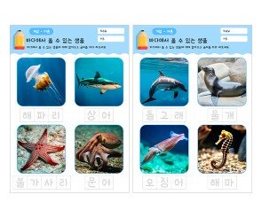 바다에서 볼 수 있는 생물