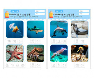 바다에서 볼 수 있는 생물