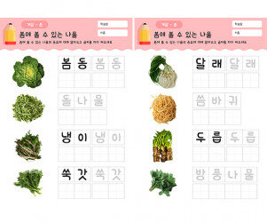 봄에 볼 수 있는 나물