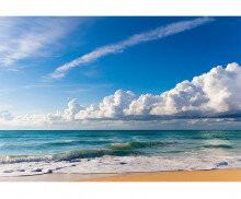 여름 바다 배경