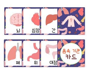 몸속 기관 카드