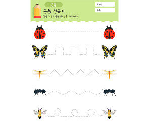 곤충 선긋기