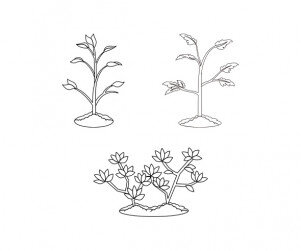 모종,묘목 색칠 모음