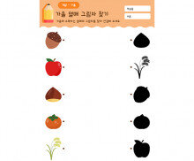 가을 열매 그림자 찾기