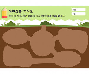 개미집을 꾸며요