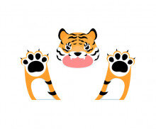 호랑이 얼굴, 손