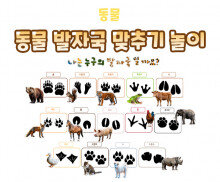 동물 발자국 맞추기 놀이