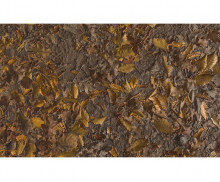 숲속 바닥 배경