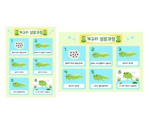 개구리 성장과정