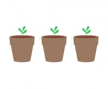 [개별도안] 관찰해 보아요 화분 가랜드