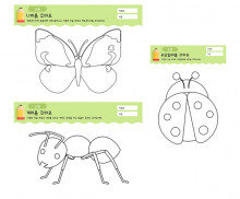 곤충을 꾸며요