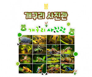개구리 사진관