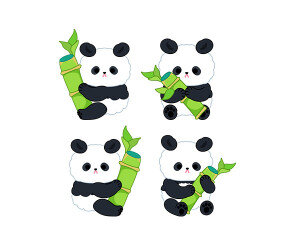 대나무(개운죽)와 판다