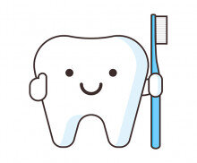 칫솔 들고 있는 치아