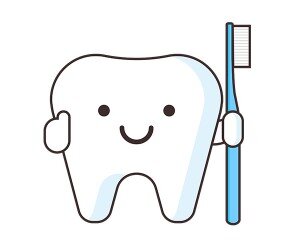 칫솔 들고 있는 치아